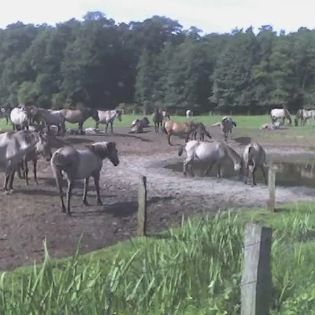 아파트 Kleine Mit Terrasse