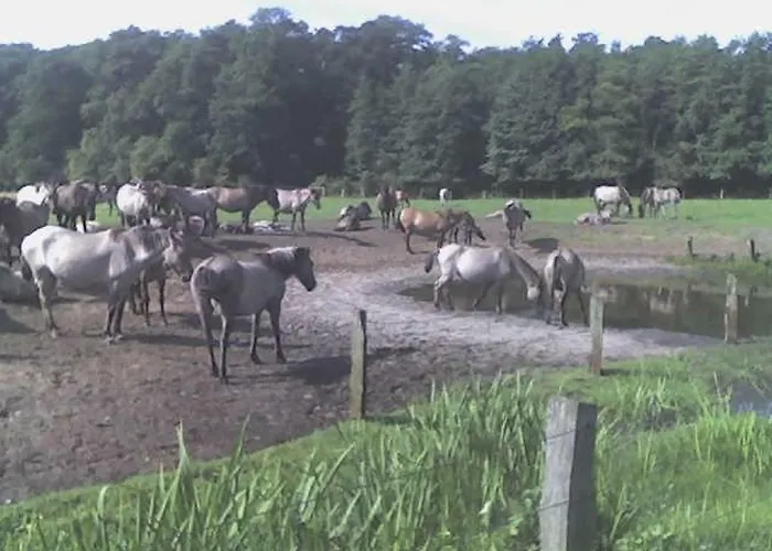 Appartement Kleine Mit Terrasse